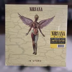 マ*+様 NIRVANA IN UTERO アナログレコード 45回転 - メルカリ