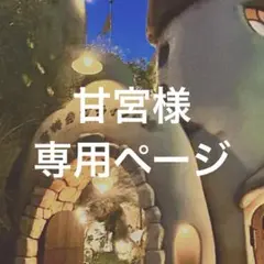 甘宮様 専用ページ 他の方の購入不可