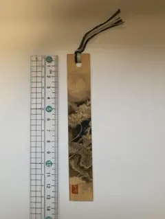 Item thumbnail for item 3d2daf1b-ba36-4980-a57d-9d031c539409