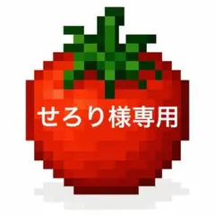 せろり様専用です！熊本県産農家直送‼️当日収穫分‼️訳ありトマト9キロ以上