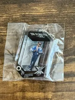 三代目 ELLY プレミアムカプセルBOXデザインアクリルチャーム