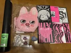 straykids スキズ　チャンビン　まとめ売り