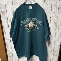 USA製 vintage 90s マサチューセッツ　ゆるだぼカットソーのサムネイル