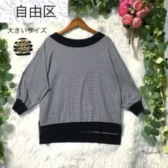 ☆大きいサイズ・3L☆自由区 コットンナイロンボーダーブラウス ゆるだ 