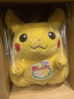 新品　ポケットモンスター ポケモン30周年記念　おかえり！ピカチュウ1/1