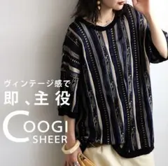 antiqua アンティカ、シアーニット COOGI風 トップス