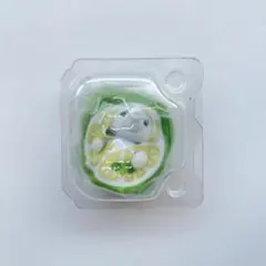 シルバニアファミリー フルーツパーティー ゾウの赤ちゃん