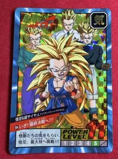 ドラゴンボール カードダス スーパーバトル No.738 悟空＆トランクス