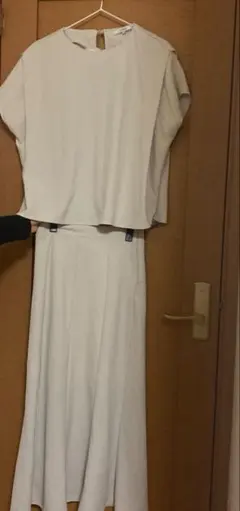 cotorica セットアップ