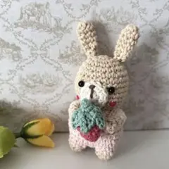 ちっちゃなあみぐるみ⭐︎サロペットうさぎちゃん⭐︎ハンドメイド⭐︎いちご