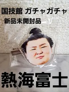 大相撲 ガチャ ヘアピン 熱海富士 両国国技館
