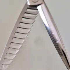 2025年最新】ミズタニ アクロリーフの人気アイテム - メルカリ