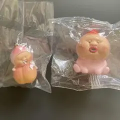 こびとづかん カクレモモジリ セット