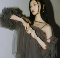 ANDRESD decorative tulle tops チュールトップス