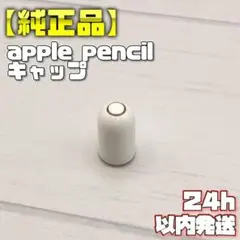 【純正品】Apple Pencil 第一世代 キャップ