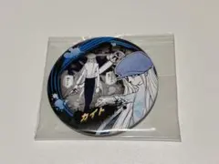 HUNTER×HUNTER コレクション缶バッジ カイト