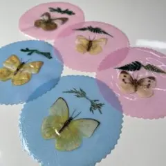 レア パチンコ 特殊景品 昆虫 蝶 標本 8点まとめ タイワン