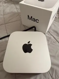 Apple Mac mini M4 16GB 1TB CTO カスタマイズモデル - メルカリ