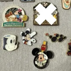 ディズニー ピンバッジ ミッキー ミニー ピントレ 海外ディズニー