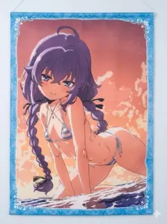 ロキシー・ミグルディア クッション 「無職転生II ～異世界行ったら本気だす～」