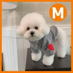 Item thumbnail for item 5776fd4e-7afc-484c-9504-2da79fbd6ec9