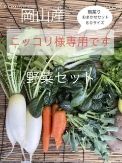新鮮野菜セット 80サイズ　ニッコリ様専用です