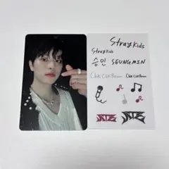 straykidsスキズ チャンビントレカミニステッカーセット - メルカリ