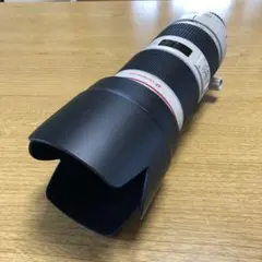 Item thumbnail for item b05df938-6fdb-44d9-bd68-4e789dae62d3