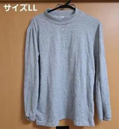 persodea 刺繍付きグレー長袖セーター LL