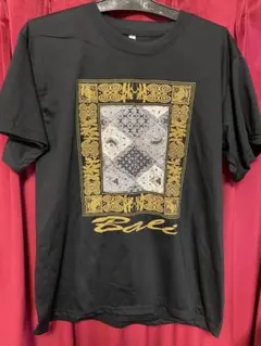 Item thumbnail for item 4a3cee8b-fa73-4756-9758-e072f03e582e