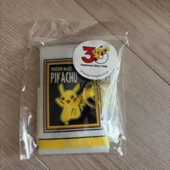 PVCポーチ／ポケモン30周年 スリコ 3coins ピカチュウ