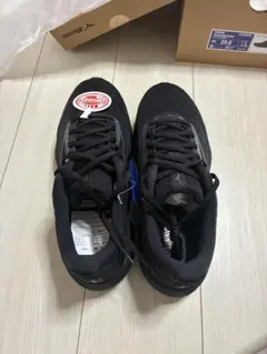 Mizuno ウェーブライダー 29.0 ブラック