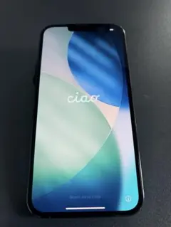 む*ん様 iPhone13 Pro Max 512GB 本体