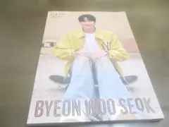 DICON VOLUME N°23 BYEON WOO SEOK ビョン・ウソクのサムネイル