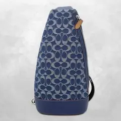 2026年最新】COACH メンズ ボディバッグ・ウエストポーチの人気