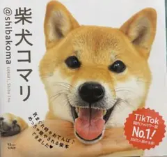 柴犬コマリ 写真集