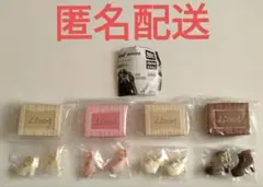 Licca closet series　シューズコレクション スイートカラー