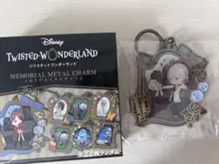 Disney Twisted Wonderland メタルチャーム　エペル