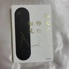 【値下げしましま】20代で得た知見 F