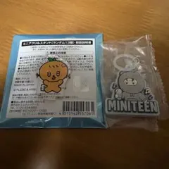 miniteen ミニティーン seventeen セブチ プギュリ ノンバ