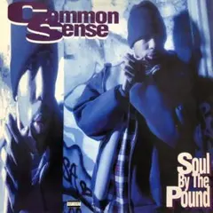Common Sense Soul By The Pound