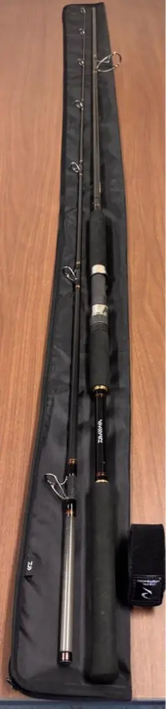 2026年最新】DAIWA 釣種：ルアー ショアジギングロッドの人気アイテム