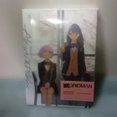 SSSS.GRIDMAN ヴィレッジヴァンガード アクリルフィギュア 新条アカネ