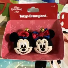 ディズニー クリスマス ミッキー ミニー リングセット 指輪 2025