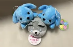 犬のぬいぐるみ 4個セット
