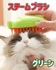 スチームブラシ　ペットブラシ　充電式　猫　犬　抜け毛　ブラッシング　換毛期　緑