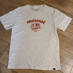 marmot イラスト入り Tシャツ