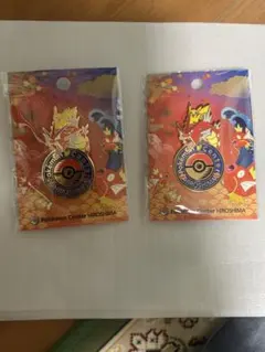 ポケモンセンター広島限定ロゴピンズ2個
