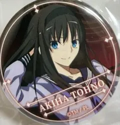 MELTY BLOOD 缶バッジ 遠野秋葉 Fate FGO 月姫 - メルカリ