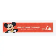 ディズニー ミッキー 実写 マグネット